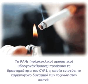 PAHs προάγουν CYP1